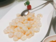 -沪碟·精菜坊(闵行店)