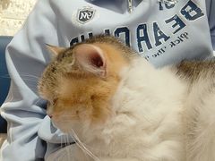 -平行世界·猫咖(首经贸店)