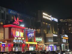 -秀儿四九城·新京菜(亚运村鸟巢店)