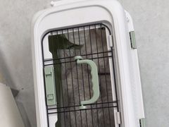 -谐和益家动物医院·免疫绝育·血液透析·宠保定点医院(高新伊藤分院)