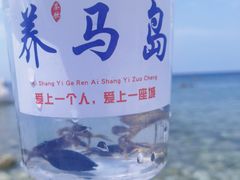 -养马岛旅游度假区