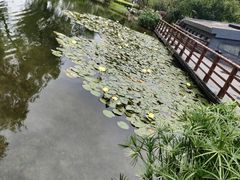 -成飞公园