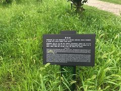 -龙寺生态园