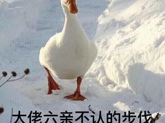 -海底捞火锅(方圆荟店)