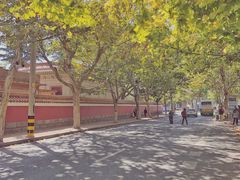 -大学路8号炸串(大学路十四号院店)