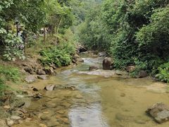 -广州白江湖森林公园