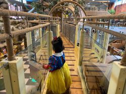 点击看大图 -卡通尼·Safari非洲探索乐园·生日会(金桥国际商业广场店)