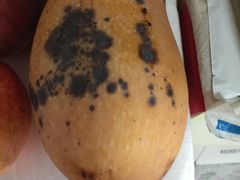 -乡巴佬(安驰路店)