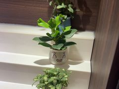 -海底捞火锅(锦艺城店)