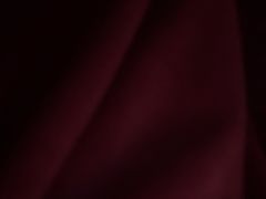 -仁普宠物诊所·中兽医·夜诊·狂犬免疫点(住友昌盛新苑店)