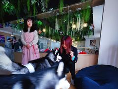 -Husky Go! 哈士奇体验馆·宠物咖啡厅狗咖