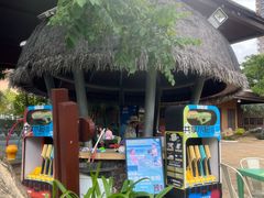 -亚马逊丛林水乐园