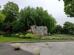 -上海鲜花港