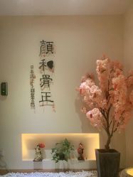 -颜和骨正·明哲式骨相美学整骨