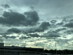 -MJ skin care国际皮肤管理中心