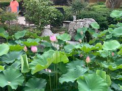 -圆通寺