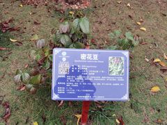 -广西壮族自治区药用植物园