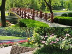 -元大都城垣遗址公园