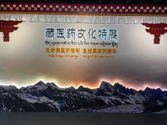 -广东中医药博物馆