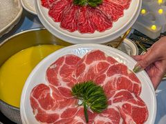 -喜聚薈·花膠雞海鮮火鍋(越秀店)