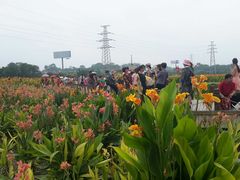 景点-那考河湿地公园