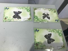 -上海昆虫博物馆