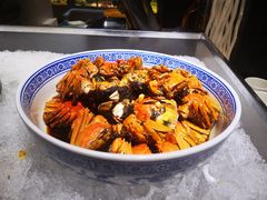 -张江海科雅乐轩聚聚乐