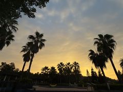 -河源万绿湖美思威尔顿酒店