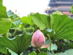 -重元寺