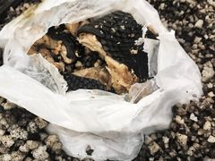 -荔城生鲜盛宴(番禺旗舰店)
