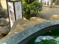 -龙门水都景区