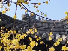 -钱王祠