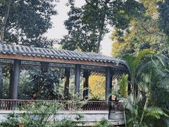 -荔湾湖公园