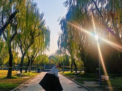 -上海大学(宝山校区)