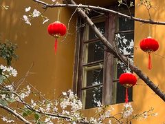 -龙华寺