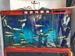 -肆月河豚·新淮扬(金融街店)
