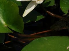 -天津东丽湖风景区