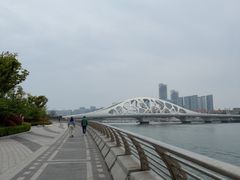 -星光岛