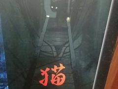 -夜幕浸入式超级密室(望京店)