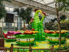 -南宫五洲植物乐园