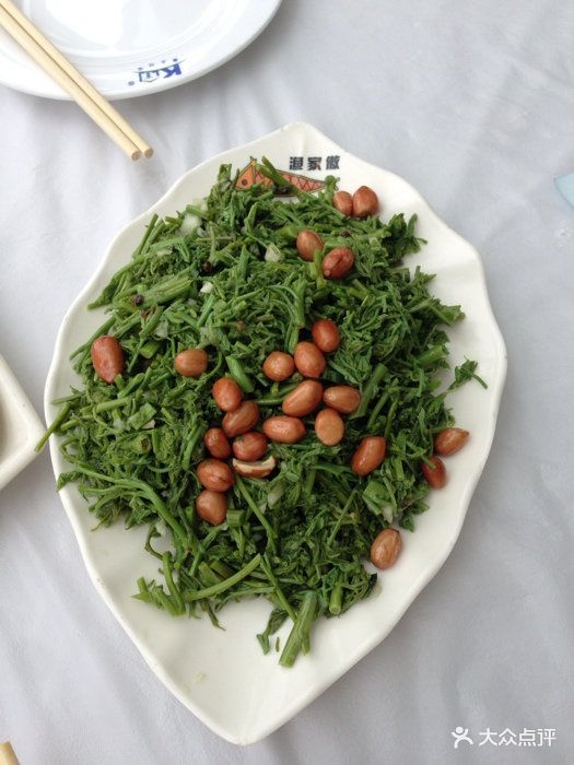 渔家傲木兰芽图片 - 第3张