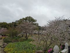 -苏州上方山国家森林公园