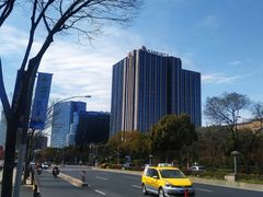 -大宁郁金香公园-停车场