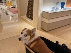 -LV路易威登(国际广场店)