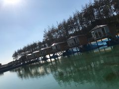 -北纬44度·金珠花海休闲农业旅游景区