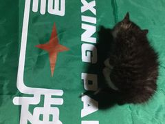 -不止轰趴桌游麻将台球(立水桥店)