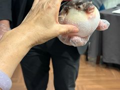 -肆月河豚·新淮扬(金融街店)