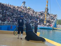 -秦皇岛乐岛海洋王国