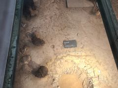 -南越王博物院(王宫展区)