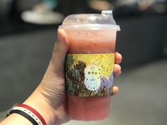 -野萃山·潮汕厚果汁(十亩地店)